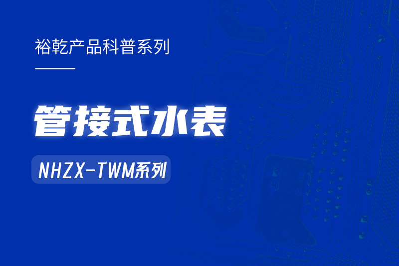 管接式水表NHZX-TWM系列：解析其在能耗監(jiān)測系統(tǒng)中的關(guān)鍵作用！